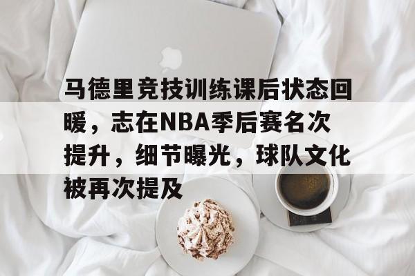 jiuyou-马德里竞技训练课后状态回暖，志在NBA季后赛名次提升，细节曝光，球队文化被再次提及的简单介绍